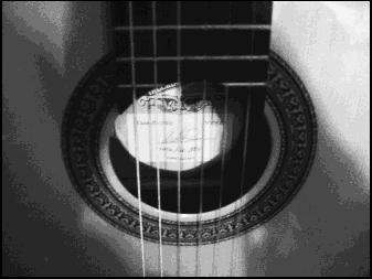 Guitar Kitchen