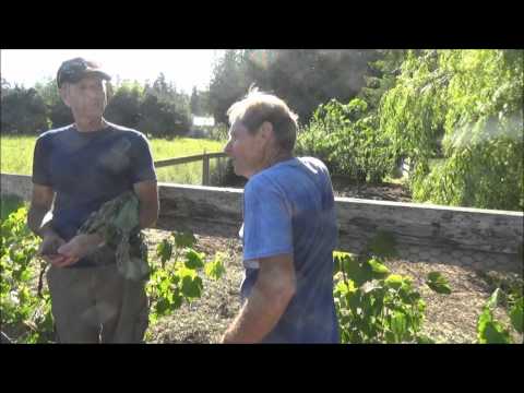 Back To Eden Garden - Full Tour June 7,2015 - L2Survive with Thatnub